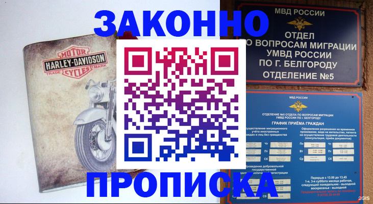 прописка для школы в Михайловке